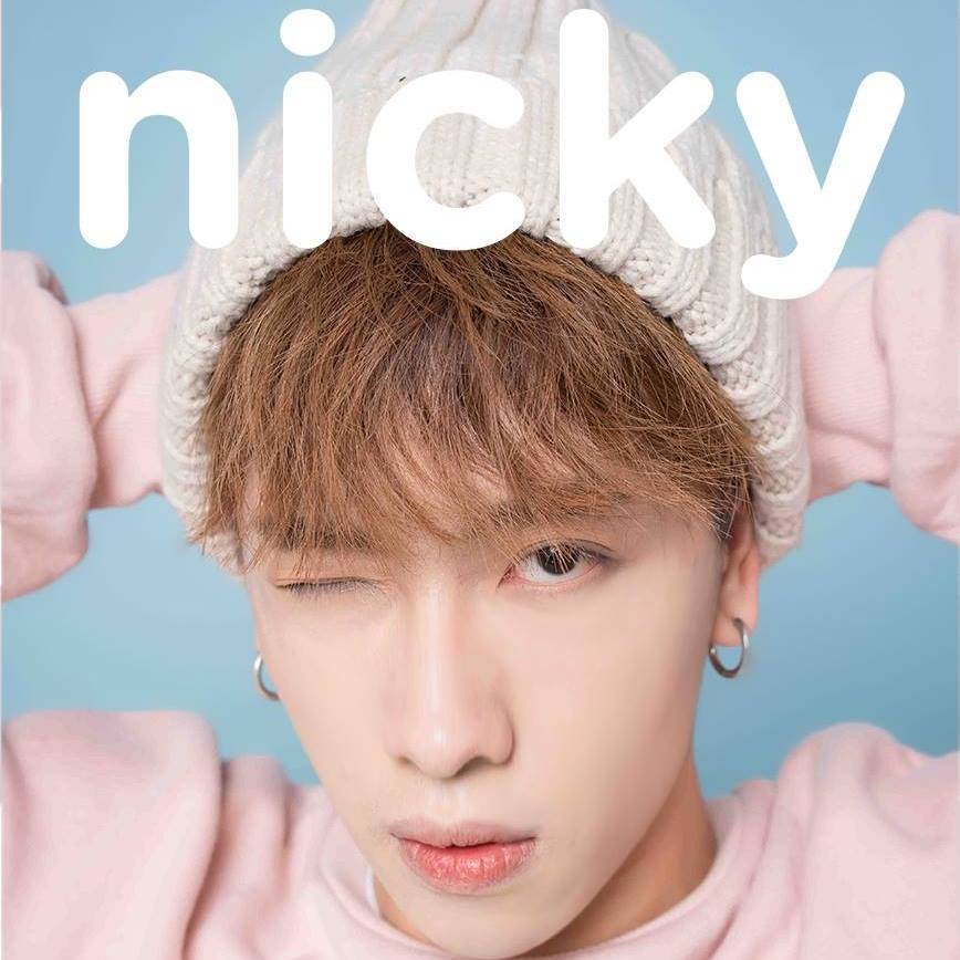 Tiểu sử ca sĩ Nicky nhóm Monstar